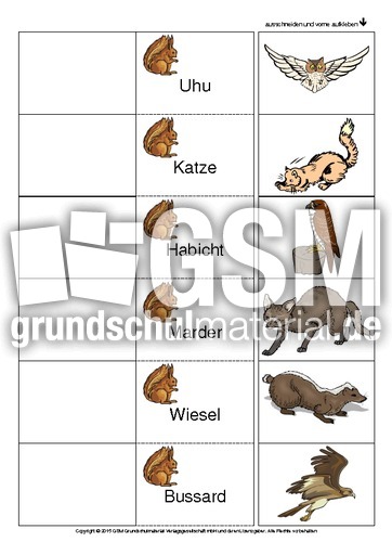 Flip-Flap-Eichhörnchen-Feinde.pdf